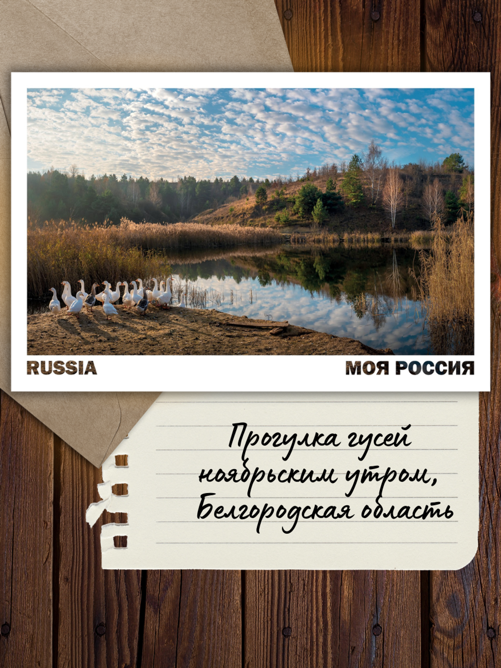 Моя Россия. Птицы