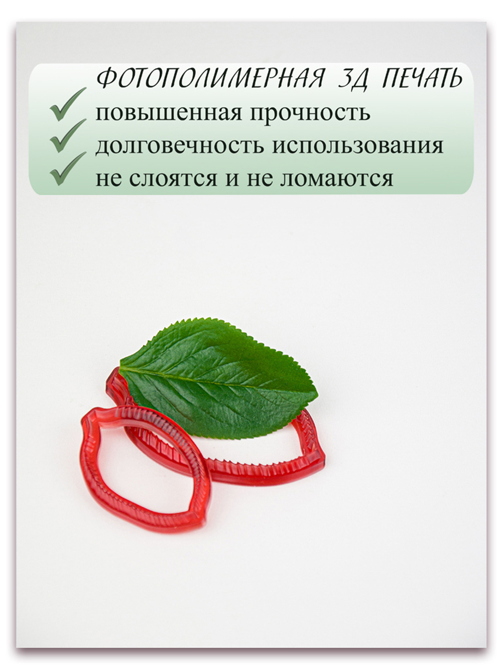 Лист аронии малый (черноплодная рябина)
