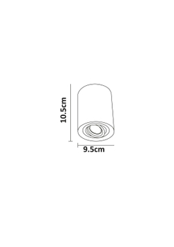 Светильник потолочный Arte Lamp Falcon A5645PL-1WH