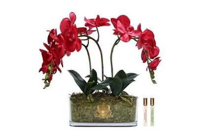 Букет ароматический Oval Orchid Red