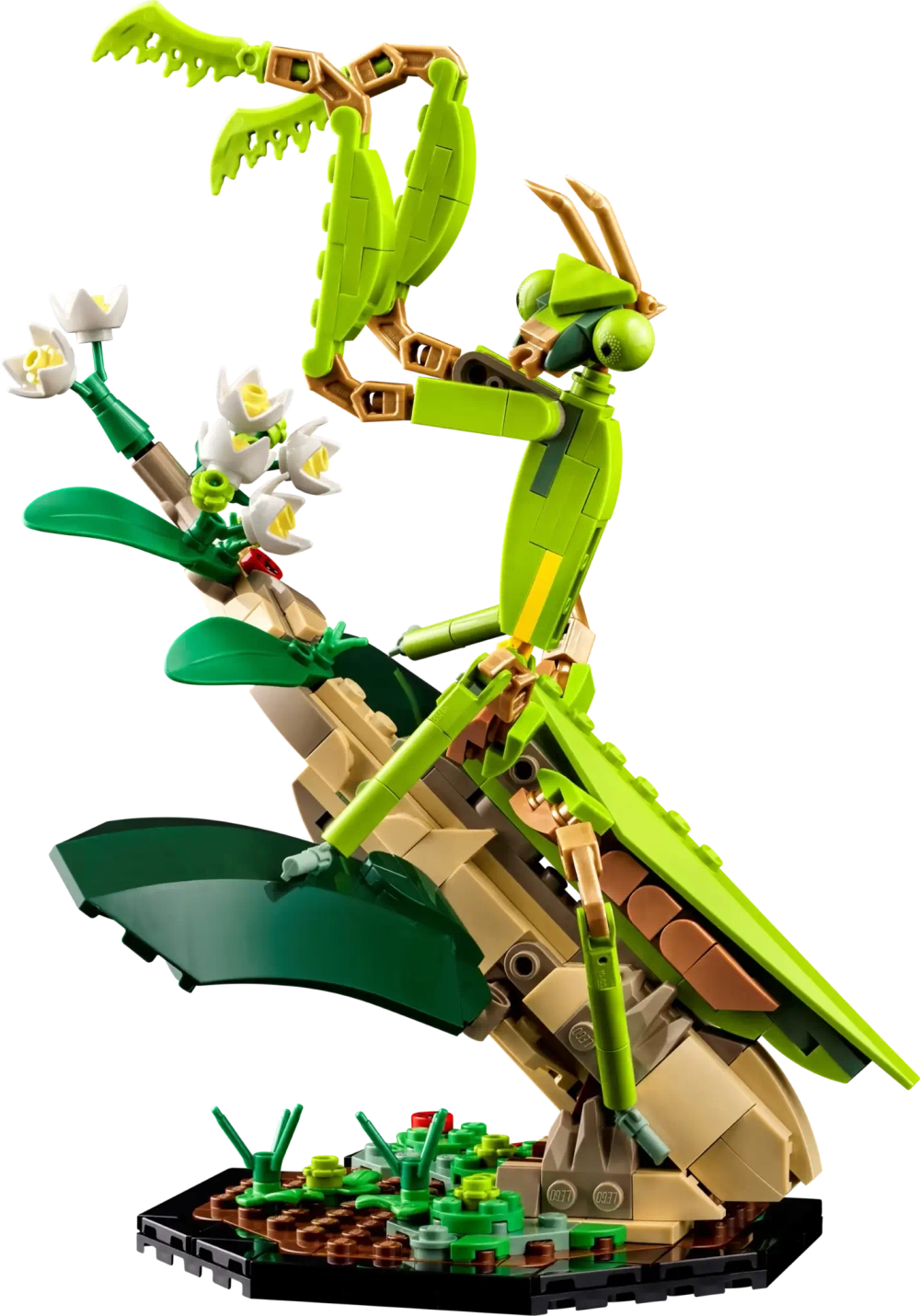Конструктор LEGO Ideas 21342 Насекомые