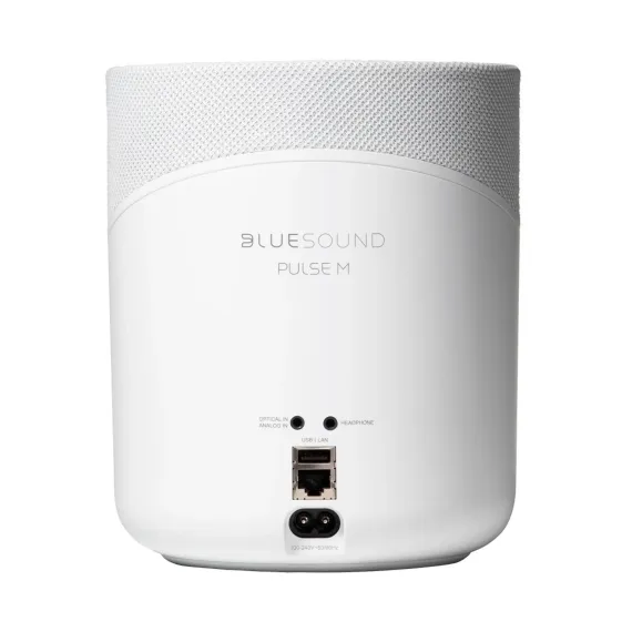 Bluesound Pulse M White