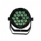 Color Imagination FLATPAR 1815