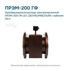 Преобразователь расхода электромагнитный ПРЭМ-200 ГФ L0/-/25/НЖ/IP68/24/B1 с кабелем 30 м