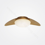 Ceiling design lamp Halcyon