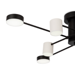 Потолочная светодиодная люстра Freya Tibo FR6048CL-L8B
