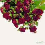 Фон карточки (84).png