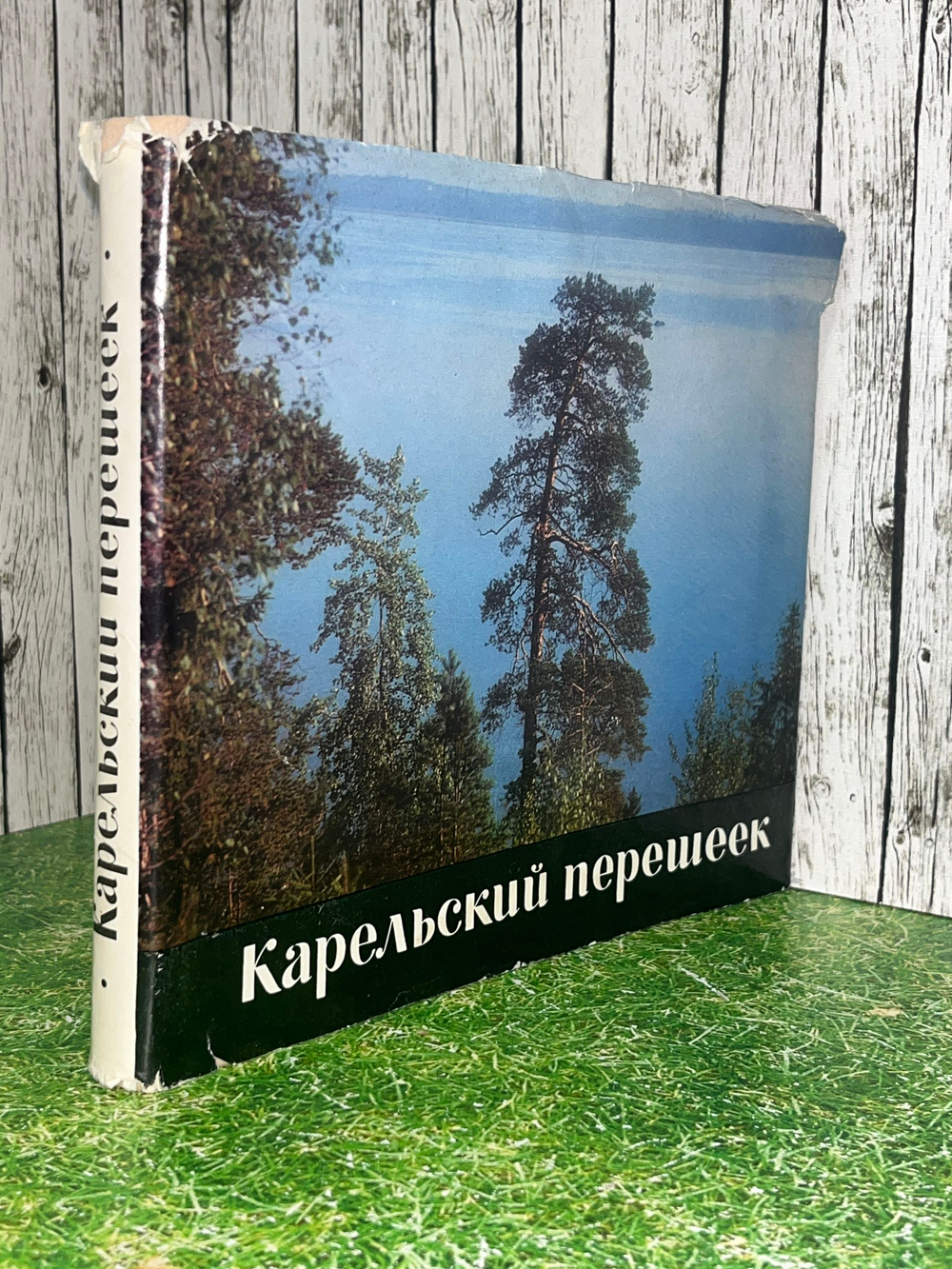 Вьюник Виктор. Карельский перешеек. Альбом
