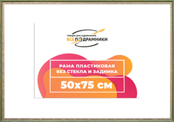 Рама 50x75 для картин и фотографий