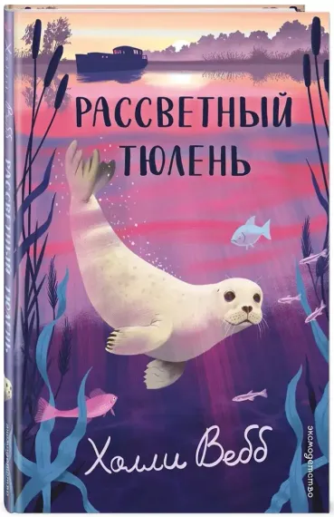 Рассветный тюлень
