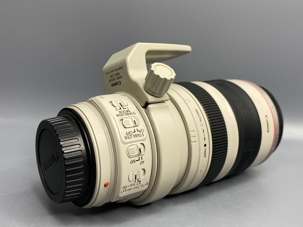 Canon 28-300mm 3.5-5.6L IS USM Пылинки под линзой
