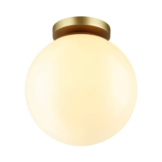 Потолочный светильник уличный Bosco 4248/1C Odeon Light