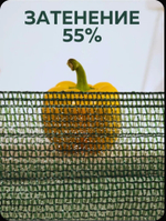 Сетка затеняющая 80% фасованная 2х5 м, зелёная (в комплекте с люверсами)