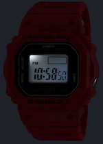 Наручные часы Casio G-Shock DWN-5600-4