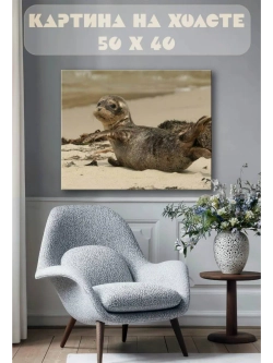Картина на стену 40 X 50 Детеныш тюленя