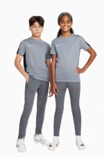 Штаны Nike Dri-Fit Academy 23 Junior - серый