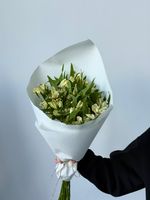 Охапка альстромерии в белом оттенке 10 шт