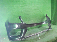 DSCN0381.JPG
