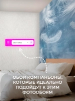 Фотообои на стену Воздушные перья 300х270см
