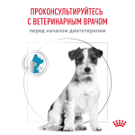 Royal Canin Hypoallergenic Small Dog Canine Гипоаллердженик Смол Дог канин Корм сухой диета для взрослых собак мелких пород при пищевой аллергии 1кг