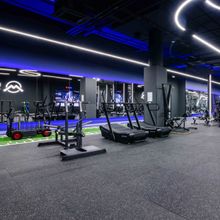 A607 Приседания с поясом