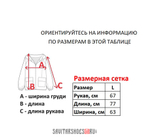 Худи DC SHOES