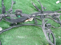 DSCN9562.JPG