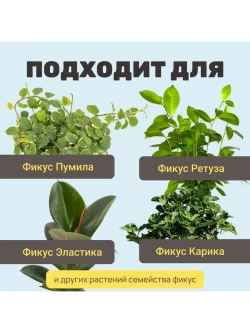 Органический грунт для фикуса 4 л