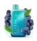 ELF BAR RAYA D1 - Blueberry Mint (5% nic)