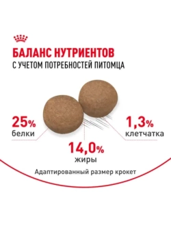 Medium Adult Корм для собак 3кг