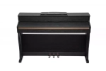 Pierre Cesar DP-500-H
