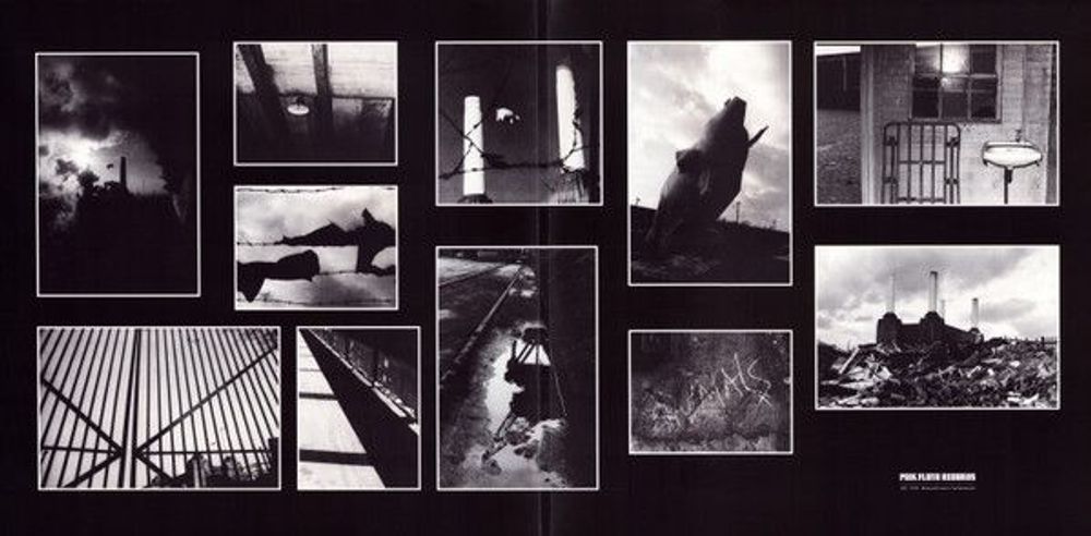 Pink Floyd. Animals (2018 Remix, LP) Пинк Флойд релиз 16.09.2022. Товар уцененный