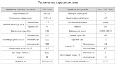 Насос 12БГ12-24М