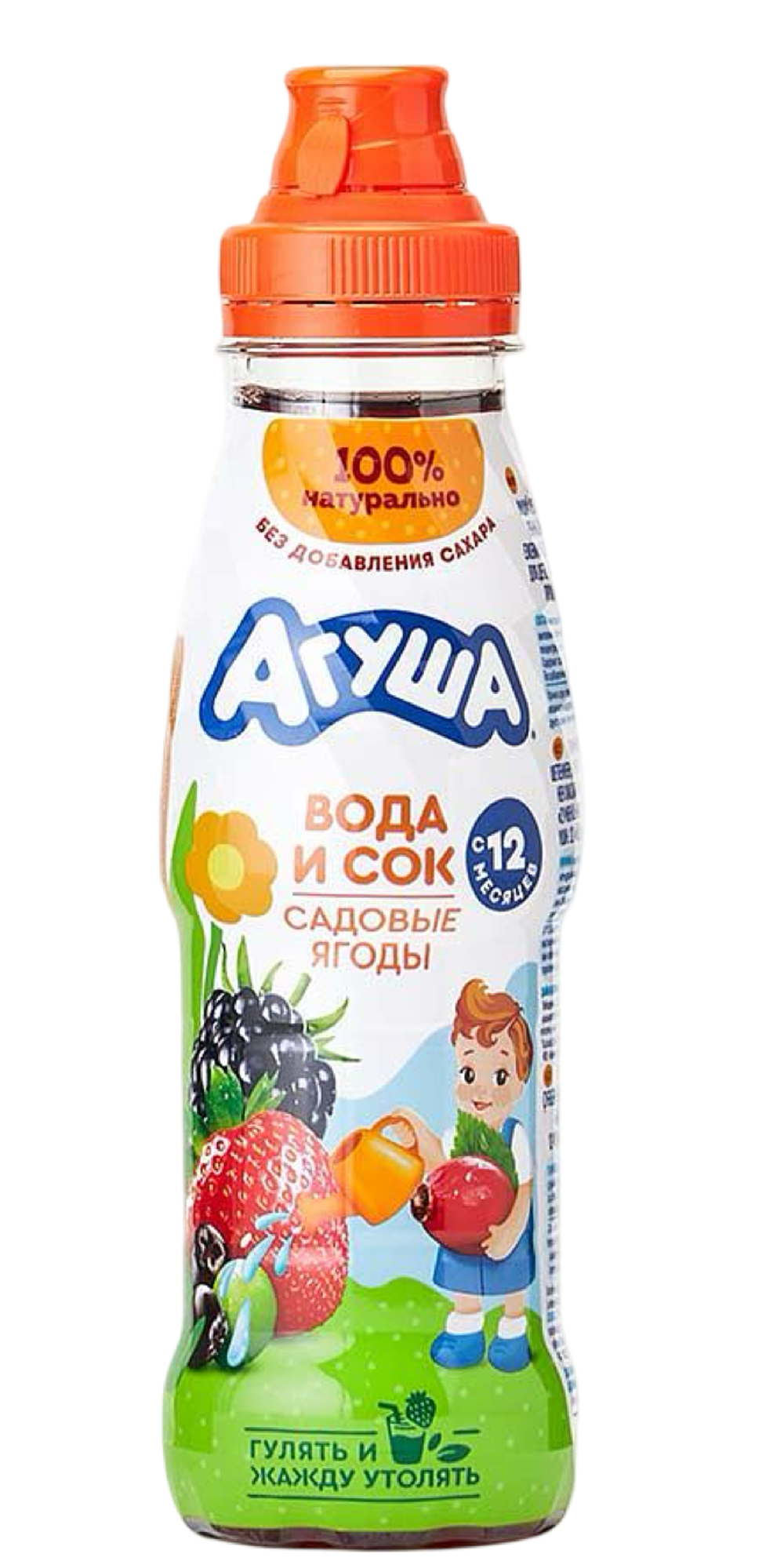 Агуша НапСокосод ЯгСадов 300мл ПЭТ 6Х ДП