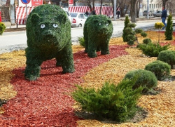 Топиарная фигура Медведь