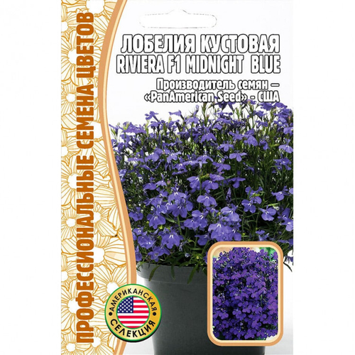 Лобелия кустовая Riviera F1 Midnight Blue