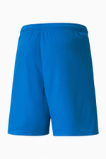 Шорты Puma teamLIGA