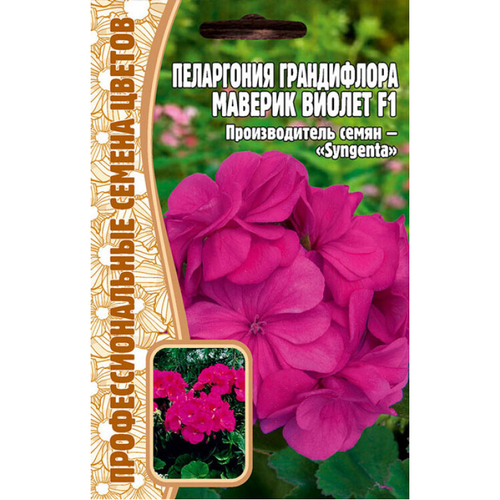 Пеларгония Maverick Violet Picotee F1