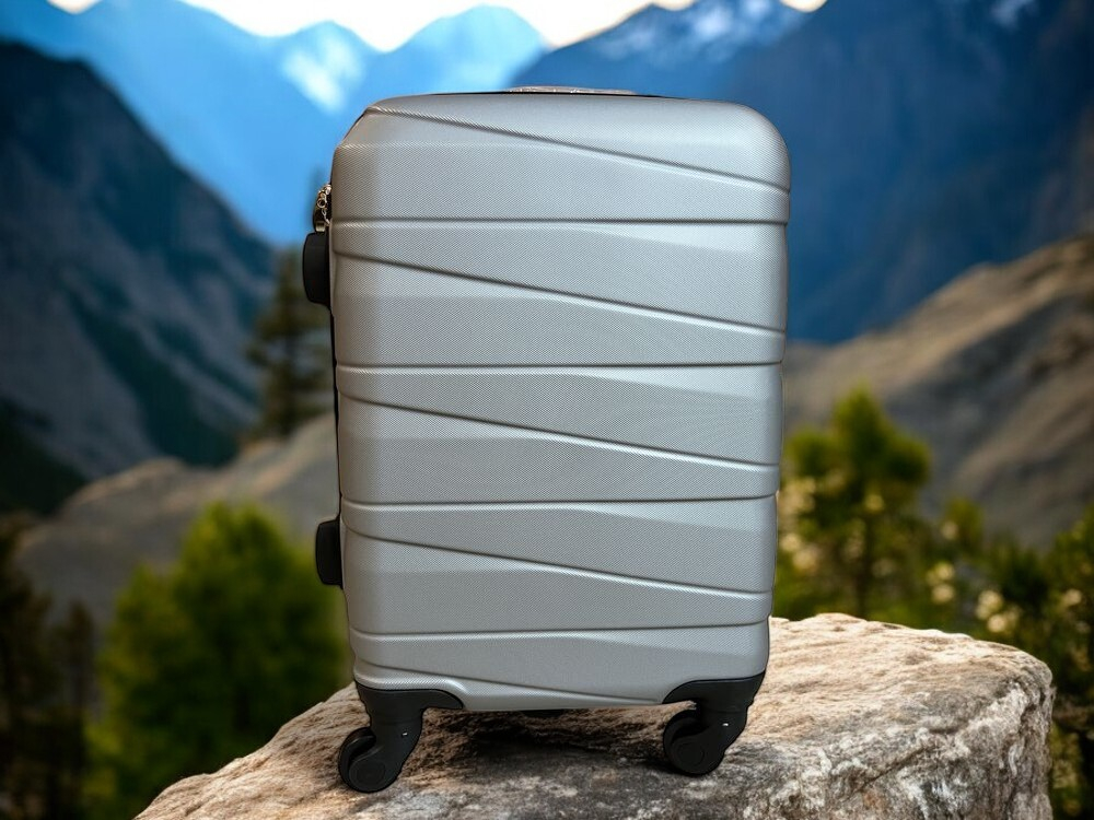 Ручная кладь Bon-Voyage Model Ten, Серебристый, XS