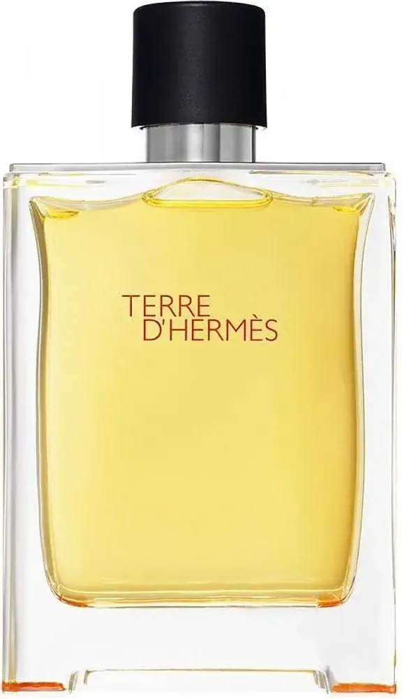 Hermès Terre d’Hermès EDT 100 ml