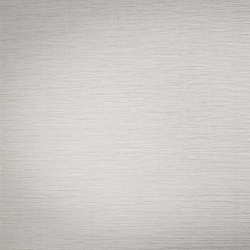 Обои виниловые TC72457-12 TREND Nature PALITRA TREND фоновые, размер 1,06х10 м