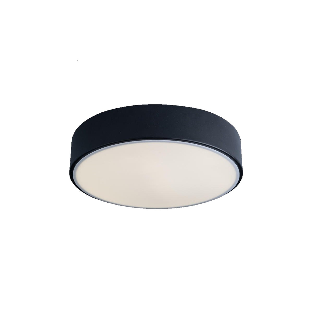 Потолочный светодиодный светильник Loft It Axel 10002/12 Black