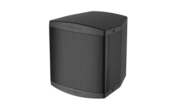 Audiocenter Artist T4 пассивная АС 4"