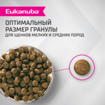 Сухой корм Eukanuba Puppy для щенков мелких и средних пород до 12 месяцев с ягненком 800 г