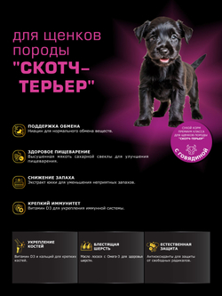 Корм сухой для щенков породы Скотч-терьер, с говядиной, 12 кг, QUATTRO