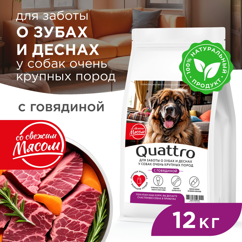 Корм сухой для взрослых собак очень крупных пород, премиум полнорационный комплекс, для заботы зубов и десен, с говядиной, 12 кг, QUATTRO