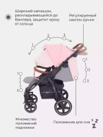 Коляска детская RANT "ALPINE STAR" RA450 Cloud Pink