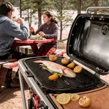 Портативный газовый гриль Weber Traveler Stealth Edition, 1 горелка, чёрный