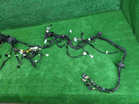 IMG_20260313_110736.JPG