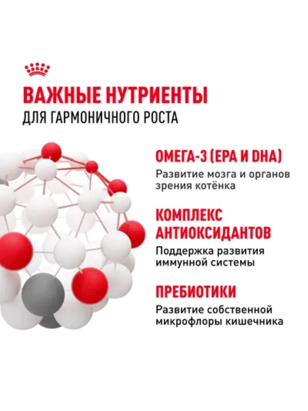 Kitten Корм для котят до 12 месяцев 1,2кг